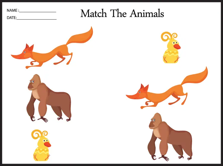 Free Printable Math Worksheets