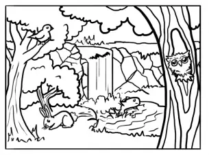 Animals Found In The Woods Coloring Pages 8
