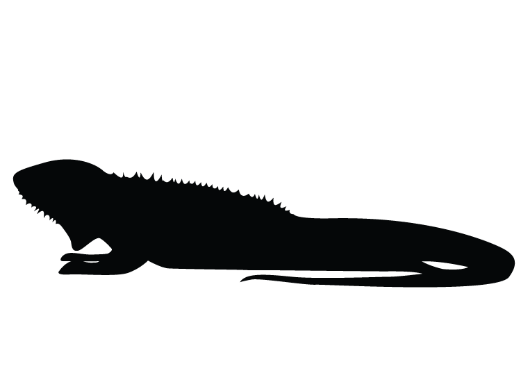 Lizard Stencil Printable Crafts lizard-stencil-printable-crafts