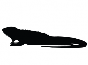 Lizard Stencil Printable Crafts