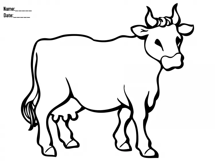 Cow Coloring Printable Activities