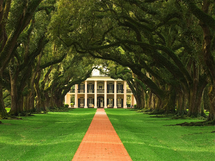 Printable Nature Pictures