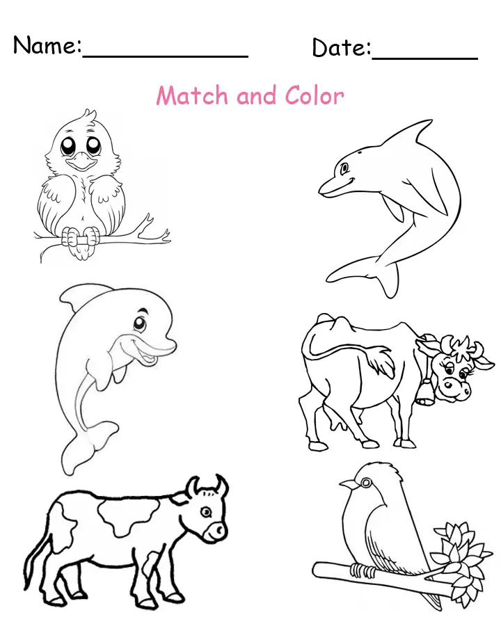 match and color the baby animals worksheet