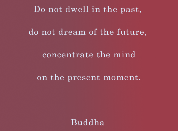 Quotes About Life Collection