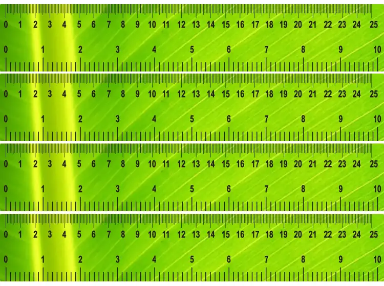 green shiny printable ruler