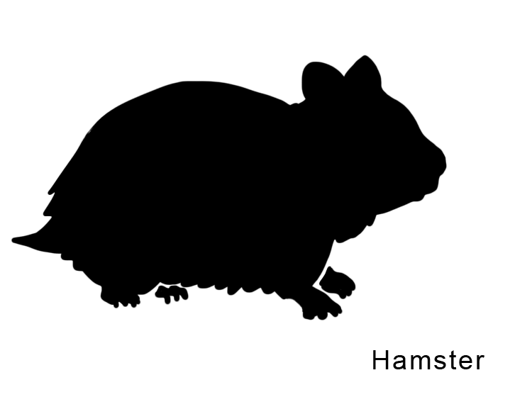 Printable Hamster Stencils
