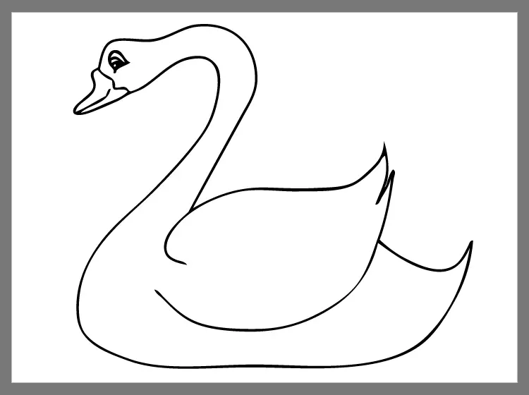 Swan Coloring Sheets