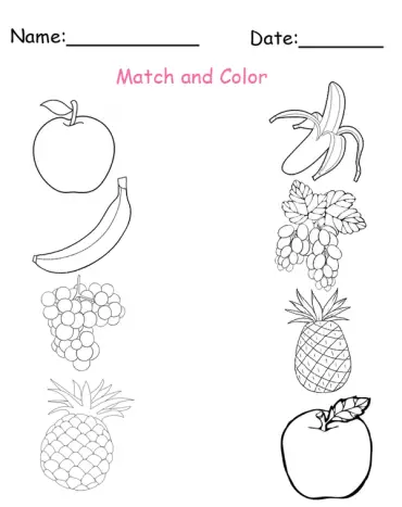 Printable Match and Color Fruit Worksheets Printable Match and Color Fruit Worksheets