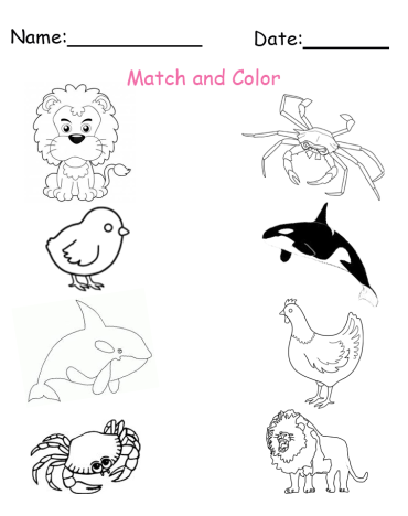 printable matching animals worksheets