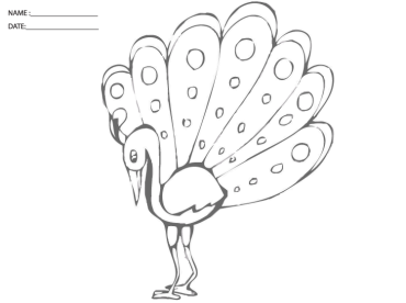 Peacock Coloring Sheet