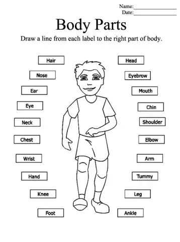 color me printable kindergarten worksheets