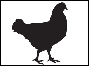 Printable Rooster Stencil